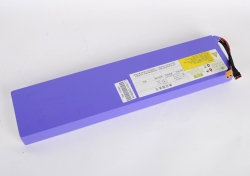 Baterie 48V / 15,4Ah  City Boss GV5 